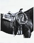 Saddle Belonging to Clyde Gossett. Fort Union, New Mexico (372-542) Reproducible (plus) print