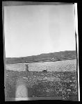 F816c. Water Carriers. At Lake. Horse Drinking. Mother With Baby. On Shore.