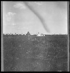 F825a. General Camp Scenes. Rattler and Dogs.