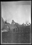 F827d. War Horse. Morning Eagle Leading War Horse.
