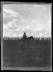 F846. Red Fox on Horseback.