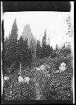 SF-44. Trail. Bear Grass.