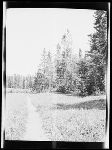 SF-160. Trail. Two Medicine.