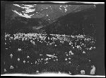 SF-196. Bear Grass.
