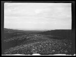 SF-216. Prairies and Foothills. Flower Meadows. Home of Mad Wolf.
