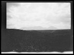 SF-217. Flower Meadow. Divide Mountain. Under Ridge of Hudson Bay Divide.