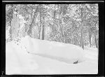 SF-245. Trail. Snow Caps.