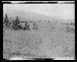 SF-250. Old Trail. Prairie. Leading to Marias Pass of the Rockies.