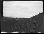 SF-256. Horse Herd Feeding. On Hills.