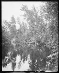 SF-289. Stream Where Beaver Worked. Stillwater.