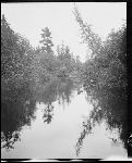 SF-290. Beaver Stream.