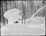 SF-306. A Puckish Head and Face. Snow Shape. Long Shadows and Sunset Color in Sky.