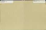 "Manifesto (in the form of a criticism of the works of Gertrude Stein)"