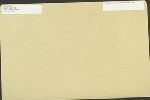 "Labor Poets," typescript drafts, corrected