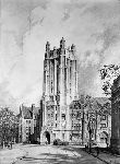 Photograph of an architectural drawing of Sheffield Hall-Sterling Tower-Strathcona Hall by Schell Lewis.