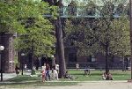 Students walking on Old campus in the spring.