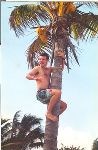 Yale Glee Club Spring Tour 2000, Cuba and Puerto Rico