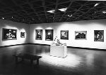 Exhibition gallery in the Yale University Art Gallery.