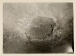 Meteor crator in American southwest.