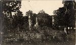 Three chimneys standing in an abandoned or burned structure.