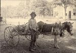 Poor white Georgian male with a donkey and cart.