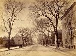 Chapel Street, looking west from College Street, 1870s.