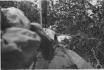 Anne Morrow Lindbergh, Florida Everglades trip. 1941.