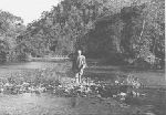 Charles A. Lindbergh in Siena do Mar region, near Sao Paulo, Brazil. 1969.